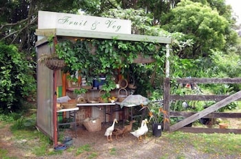 Clouds On Beechmont - Accommodation QLD 3