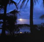 Sejala Beach Huts - Accommodation QLD