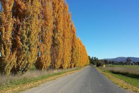 Harriet House Tumut - Accommodation QLD 1