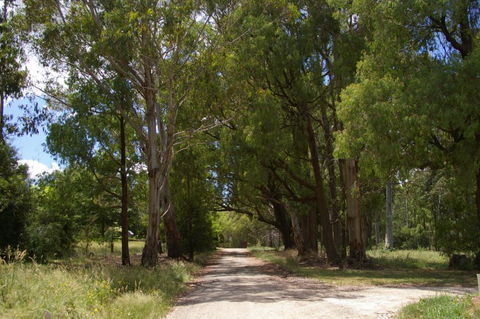 Stanley Goose Cottage - Accommodation QLD 2