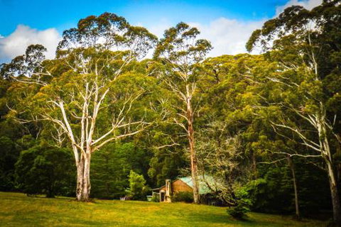 Ghost Hill Road Retreat - Accommodation QLD 6