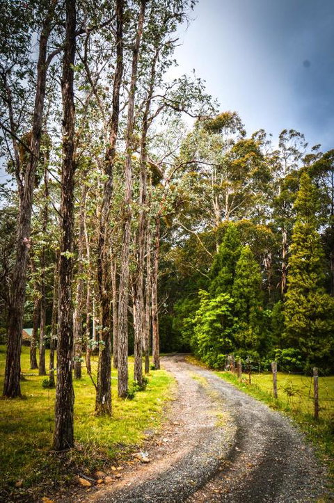 Ghost Hill Road Retreat - Accommodation QLD 2