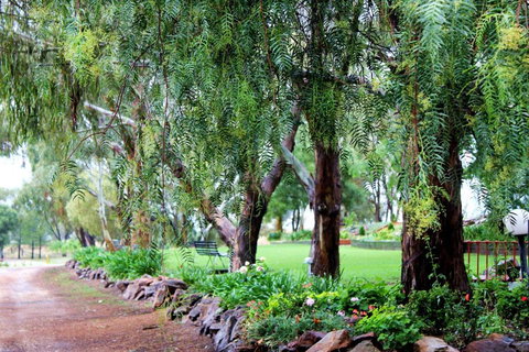 Outback Cellar & Country Cottage - Accommodation QLD 2