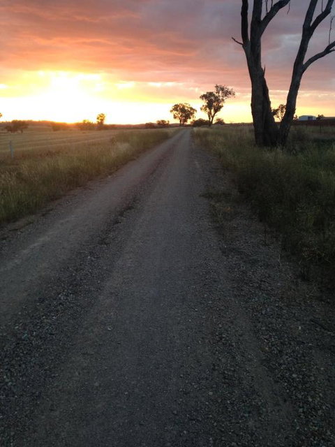 Outback Cellar & Country Cottage - Accommodation QLD 5