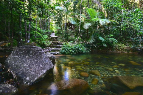 Daintree Cascades - Accommodation QLD 2