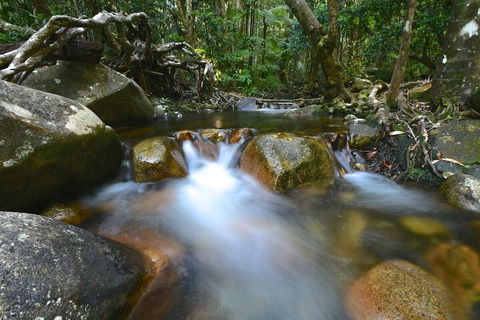 Daintree Cascades - Accommodation QLD 1