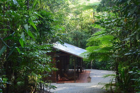 Daintree Cascades - Accommodation QLD 3