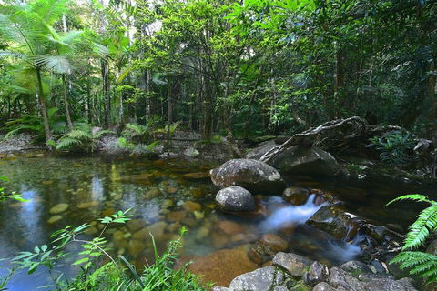 Daintree Cascades - Accommodation QLD 5