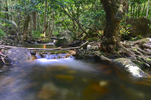 Daintree Cascades - Accommodation QLD 6