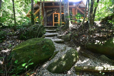 Daintree Cascades - Accommodation QLD 7