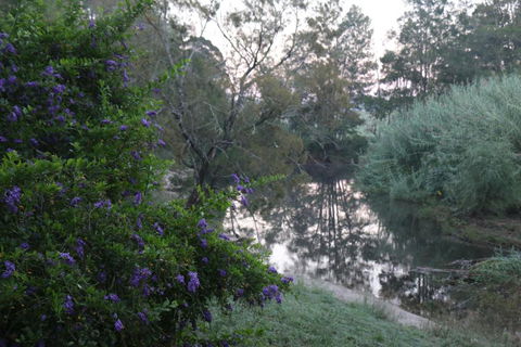 Serendipity On Allyn - Accommodation QLD 7