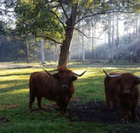 Dingley Dell - Accommodation QLD