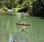 Figtree Getaway - Accommodation QLD