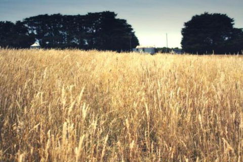 Galwiji Homestead - Accommodation QLD 6