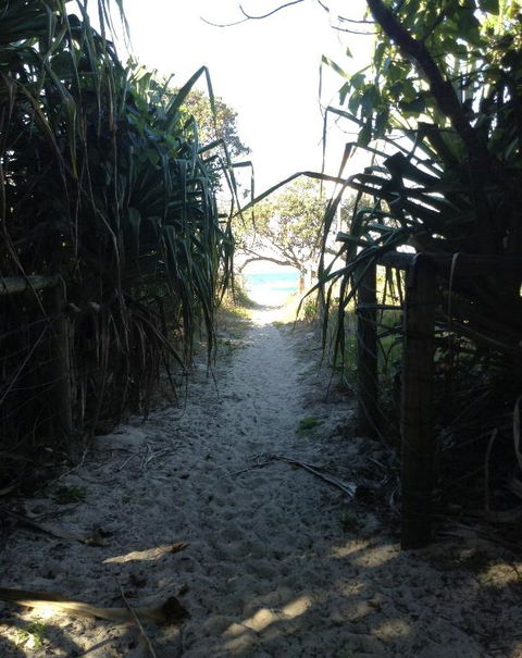 On The Beach At Hastings Point - Accommodation QLD 1