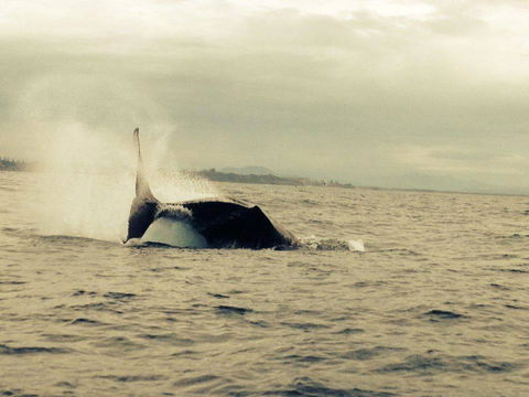 Beachside Backpackers - Accommodation QLD 3