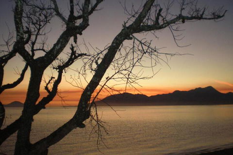 Daintree Village Hideaway - Accommodation QLD 3