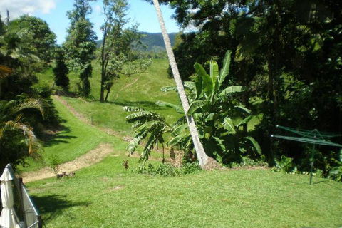 Daintree Village Hideaway - Accommodation QLD 5