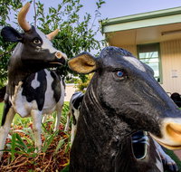 Big4 Shepparton Park Lane - Accommodation QLD
