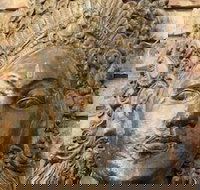 Ballina Palms Boutique Motel - Accommodation QLD