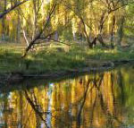 On The Banks - Accommodation QLD