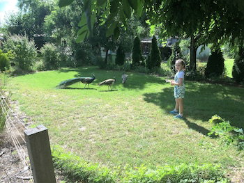 Eukey QLD Accommodation QLD