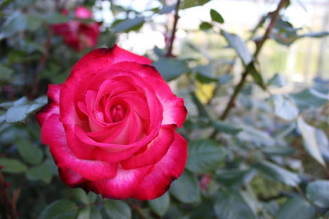 Werndee - Accommodation QLD 3