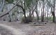 Loddon River Motel - thumb 2
