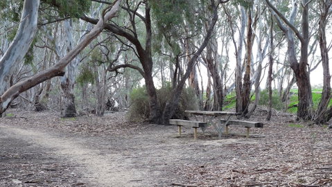 Loddon River Motel - Accommodation QLD 2