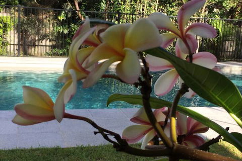 Arabella Garden Inn Motel - Accommodation QLD 2
