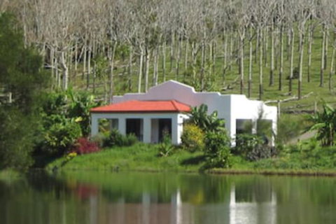 Spicy Oasis - Accommodation QLD 5