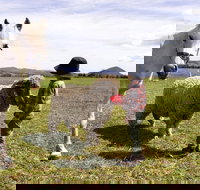 Taras Richmond Farmstay - Accommodation QLD