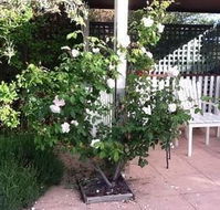 Ellesmere House - Accommodation QLD