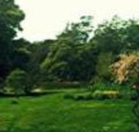 Birdwing Bed  Breakfast Weegena - Accommodation QLD