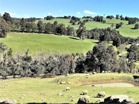 Balingup Highview Chalets - Accommodation QLD 0