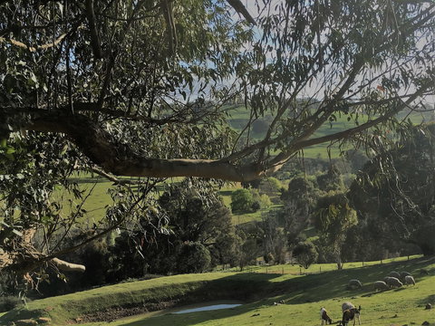 Balingup Highview Chalets - Accommodation QLD 1