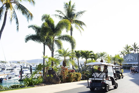 Yacht Club Villas - Accommodation QLD 1