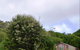 Rocky Glen Retreat King Island - thumb 6