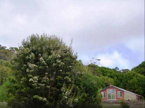 Rocky Glen Retreat King Island - Accommodation QLD 6