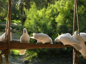 The Burrow At Wombat Bend - Accommodation QLD 0