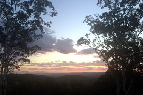 Phoenix Eumundi Bed & Breakfast - Accommodation QLD 1