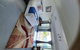 Applebay Guest House - thumb 5
