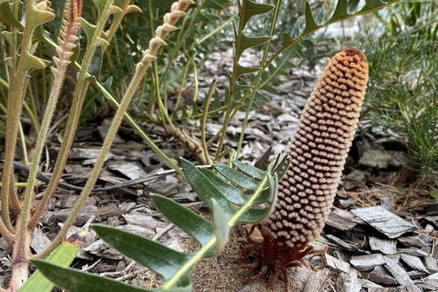 Sunny Side Up B&B - Accommodation QLD 5