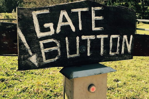 Ingleside Stud Farm - Accommodation QLD 5