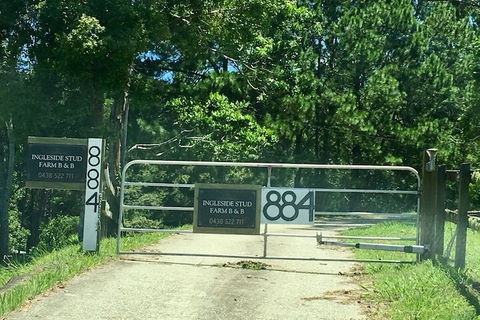 Ingleside Stud Farm - Accommodation QLD 7