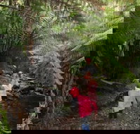 12 Apostles Cottages - Accommodation QLD