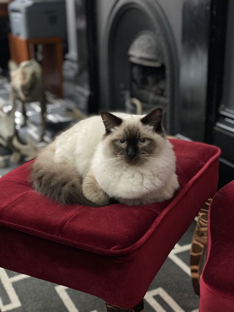 Macquarie Manor - Accommodation QLD 5