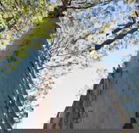 Salisbury Lodges - Accommodation QLD