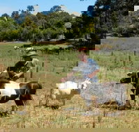 Country Cottages of Bridgetown - Accommodation QLD