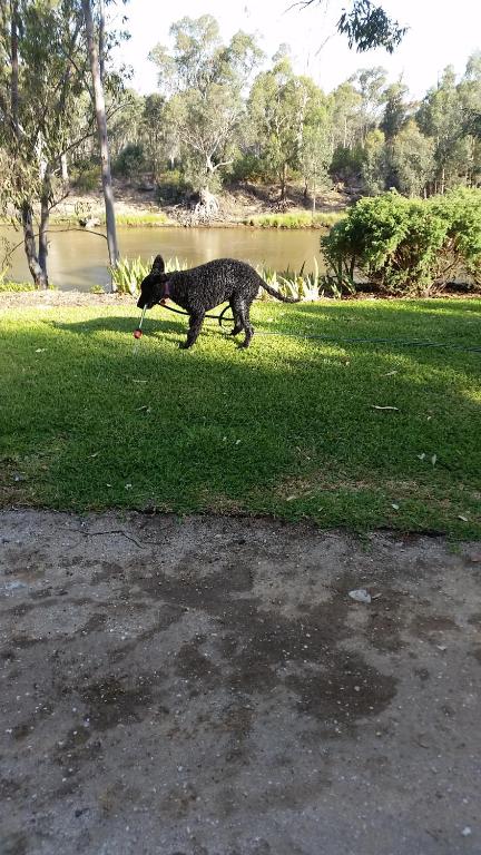 Captains Cottage Bed & Breakfast - Accommodation QLD 3